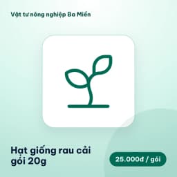 Hạt giống rau cải gói 20g